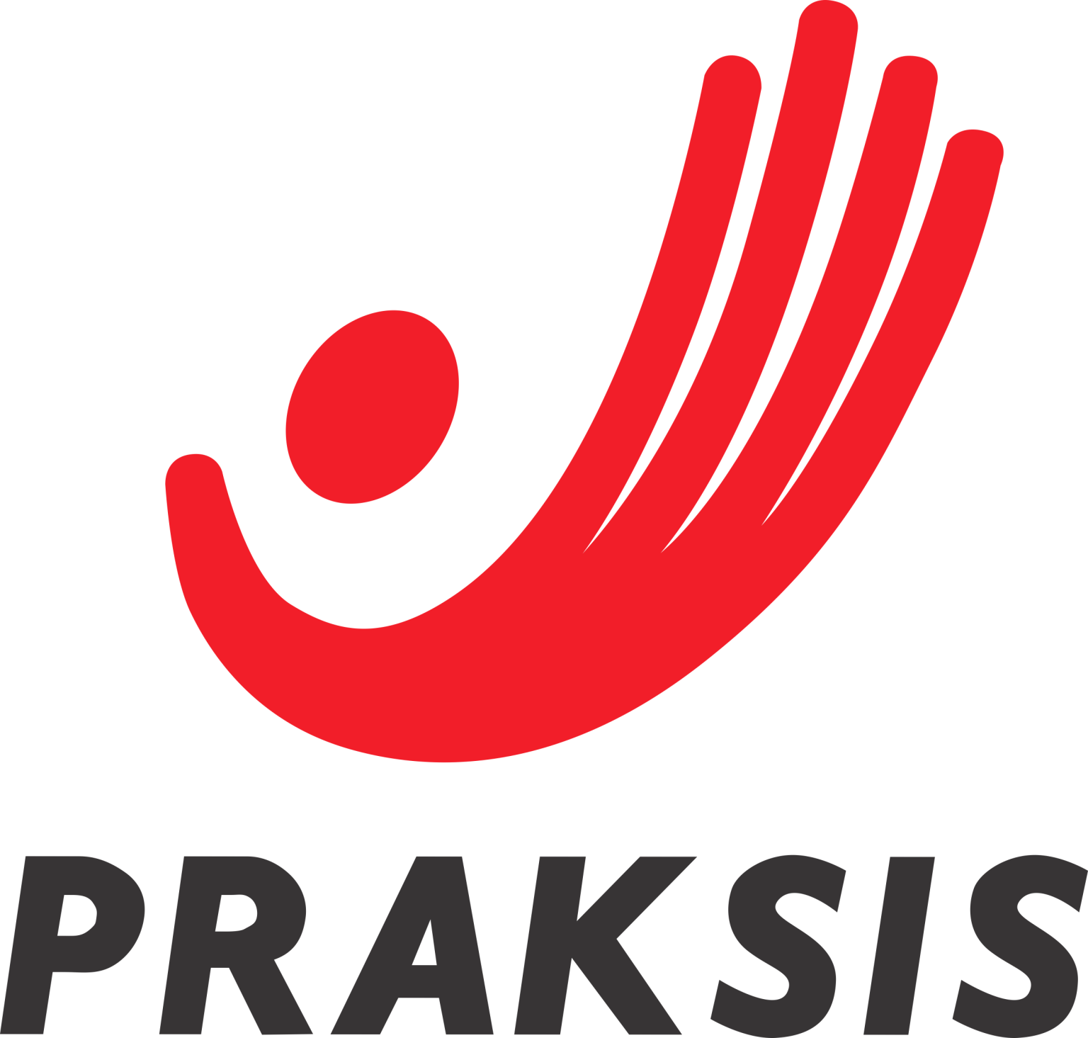 Logo Praksis